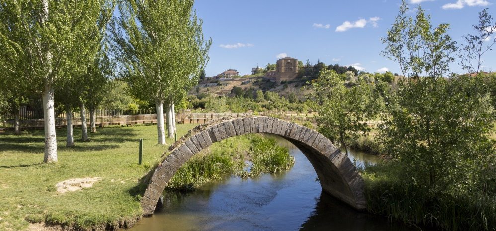 Arco del Puente del Jardin (1)