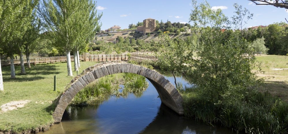 Arco del Puente del Jardin (3)