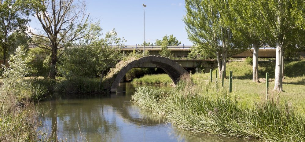 Arco del Puente del Jardin (4)