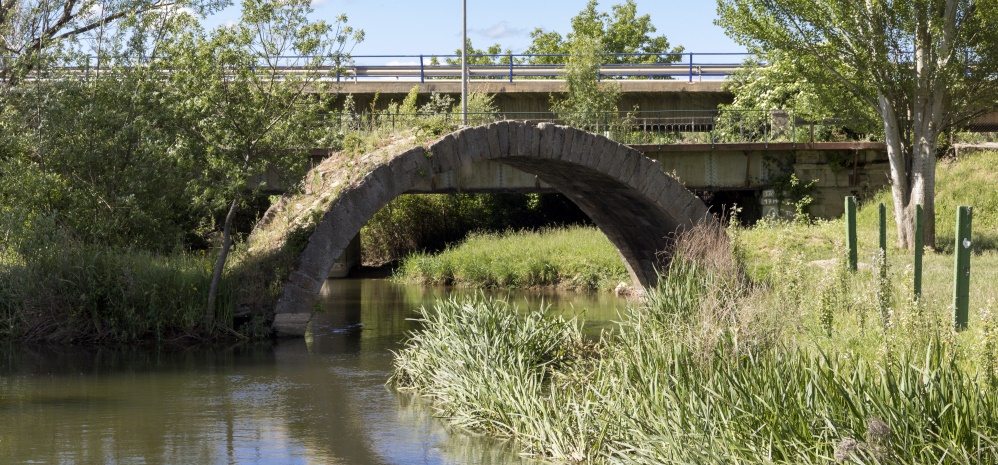 Arco del Puente del Jardin (5)