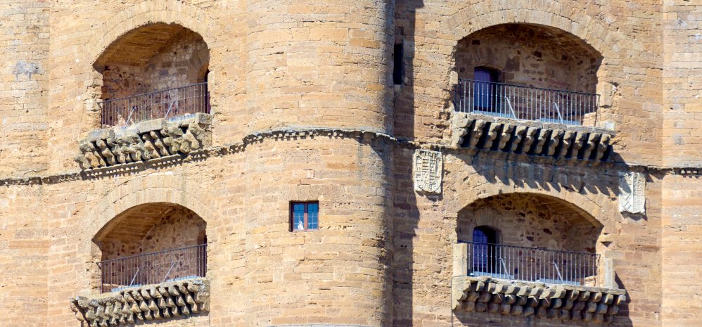 Castillo de la Mota (Torre del Caracol) (17)