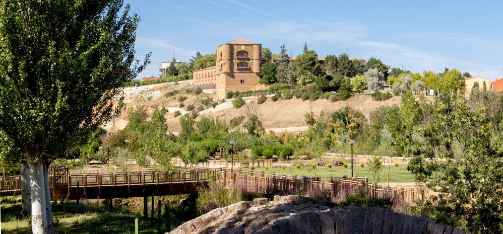 Castillo de la Mota (Torre del Caracol) (18)