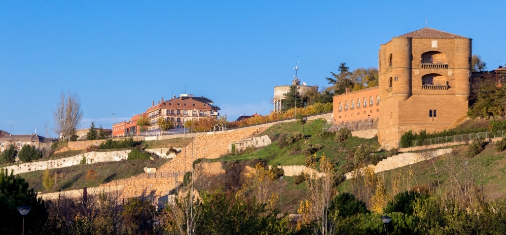 Castillo de la Mota (Torre del Caracol) (2)