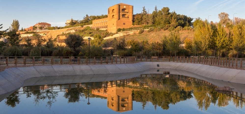 Castillo de la Mota (Torre del Caracol) (23)