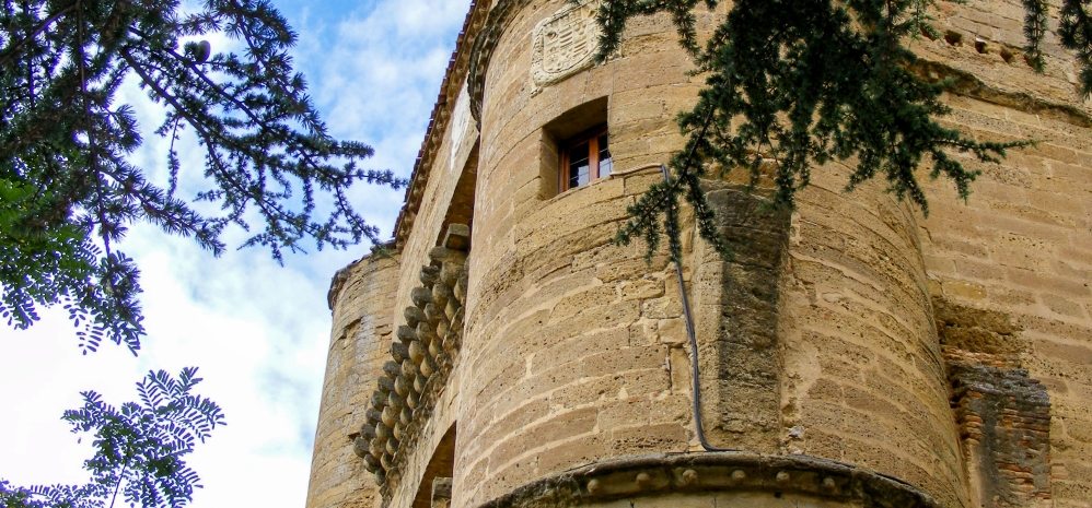 Castillo de la Mota (Torre del Caracol) (31)