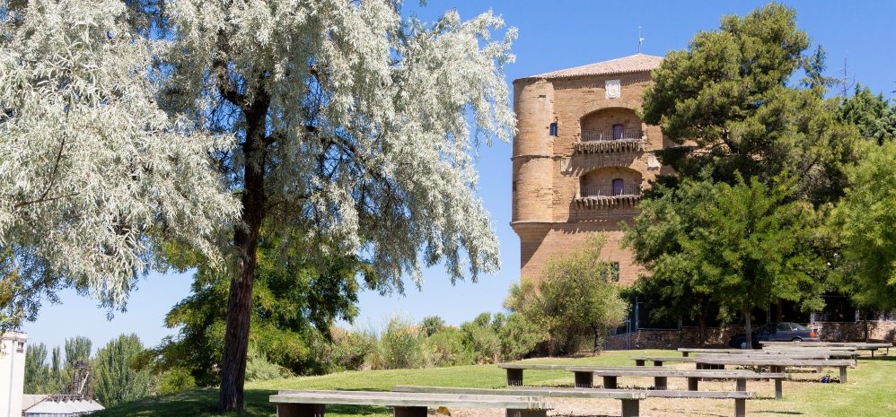 Castillo de la Mota (Torre del Caracol) (7)