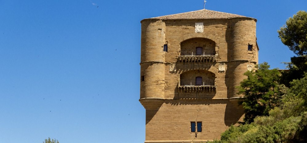 Castillo de la Mota (Torre del Caracol) (8)