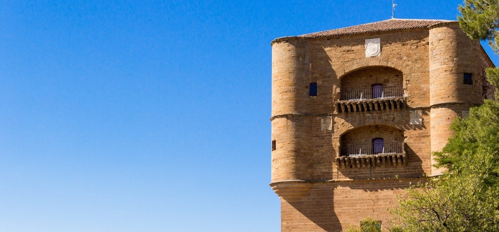 Castillo de la Mota (Torre del Caracol) (9)