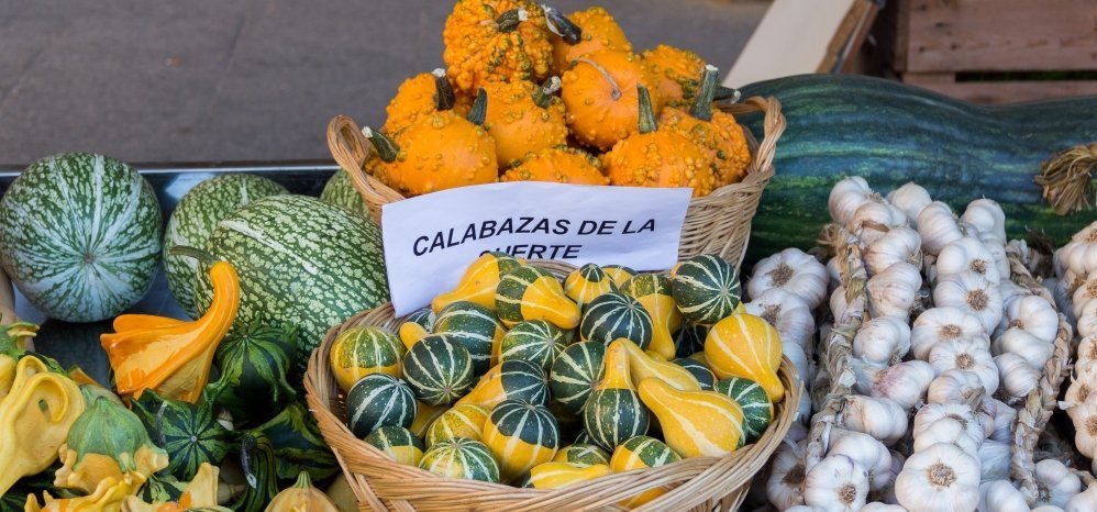 Feria Pimiento 2014 (4)