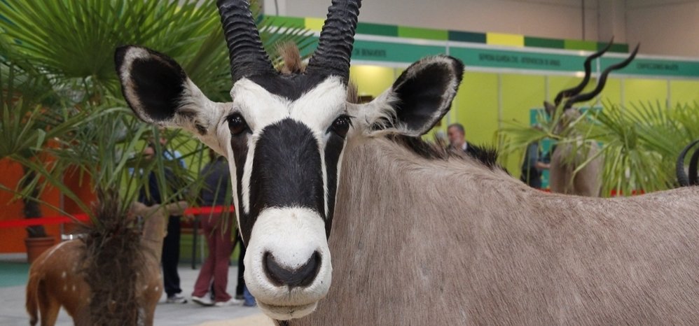 Feria de Caza y Pesca 2012 (100)