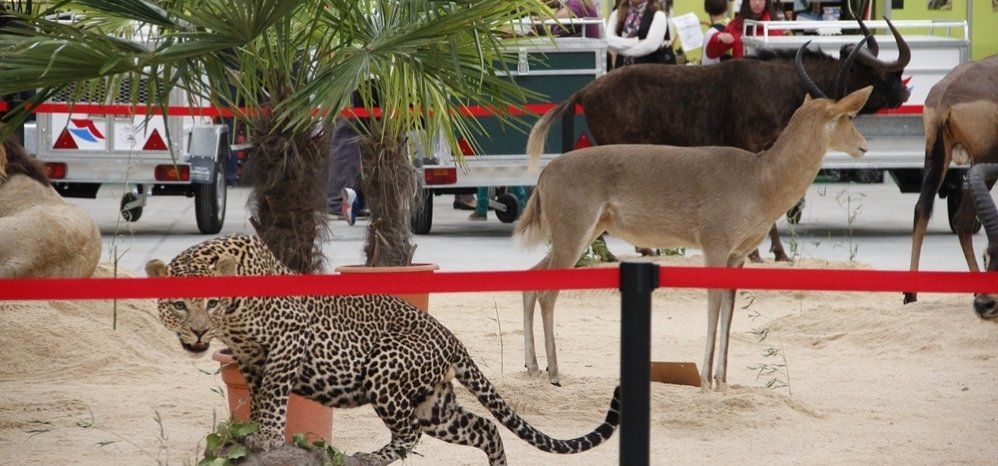 Feria de Caza y Pesca 2012 (83)