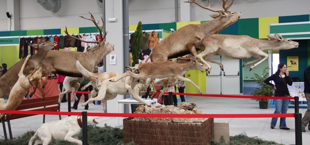 Feria de Caza y Pesca 2013 (62)