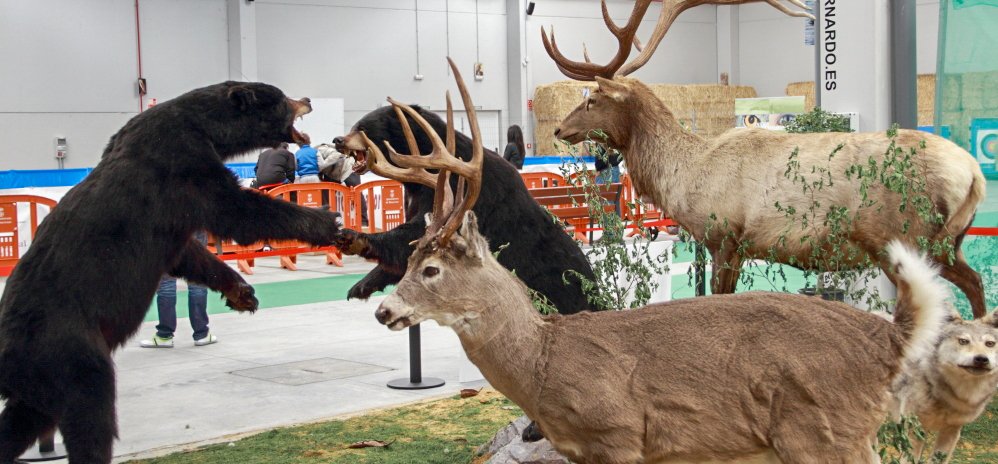 Feria de Caza y Pesca 2014 (29)