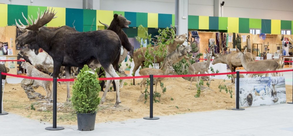 Feria de caza pesca 2015 (12)