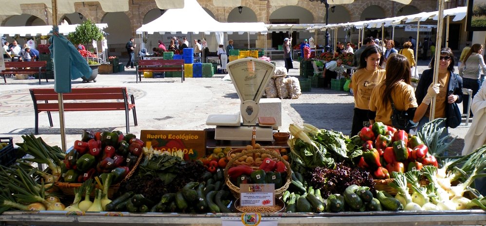 Feria del Pimiento (1)