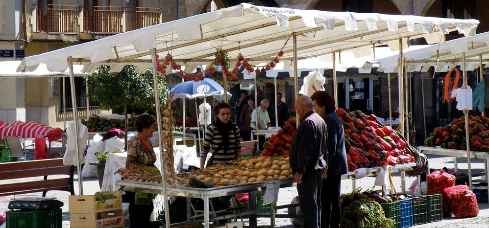 Feria del Pimiento (13)