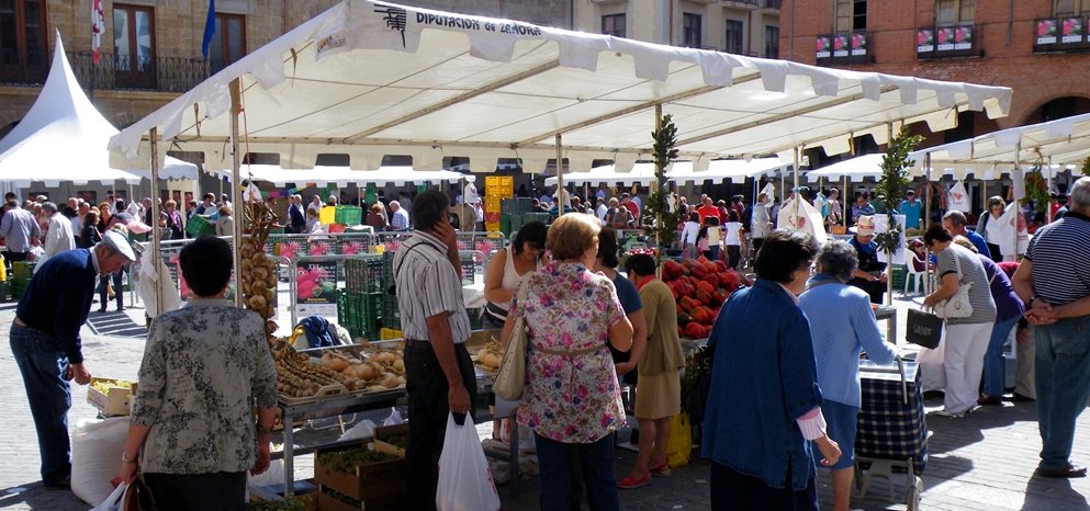 Feria del Pimiento (23)