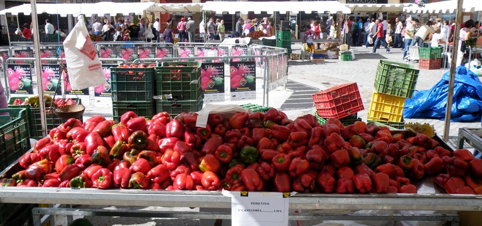 Feria del Pimiento (27)