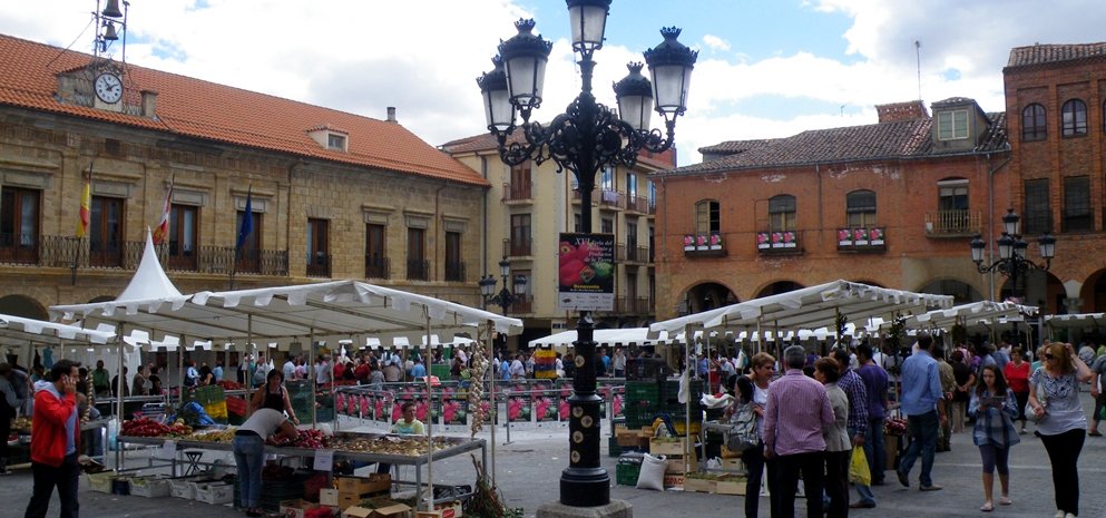 Feria del Pimiento (32)