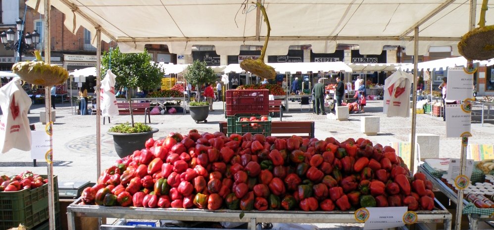 Feria del Pimiento (38)