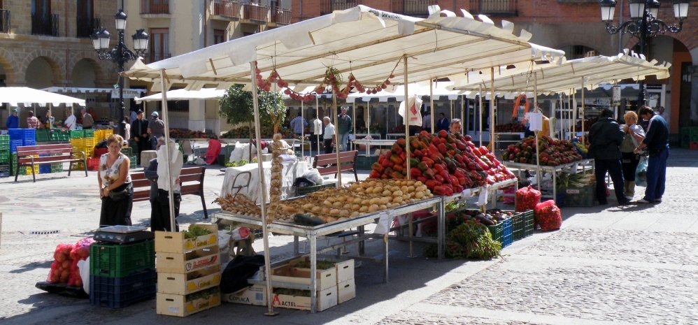 Feria del Pimiento (48)