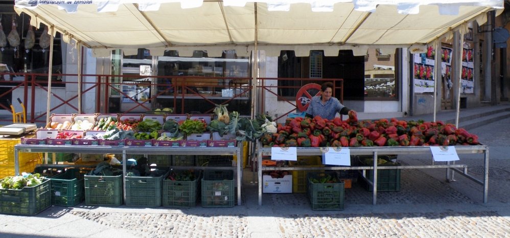 Feria del Pimiento (52)