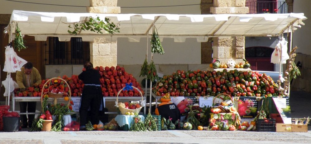 Feria del Pimiento (56)