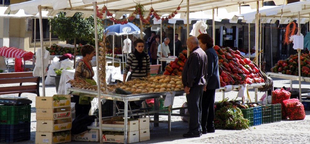 Feria del Pimiento (57)