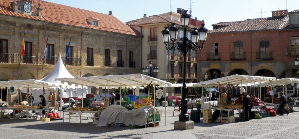 Feria del Pimiento (58)