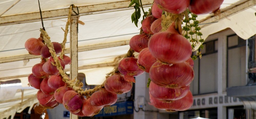 Feria del Pimiento (9)