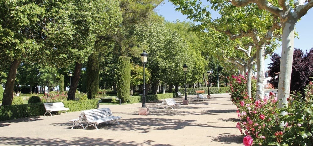 Jardines de la Mota (101)