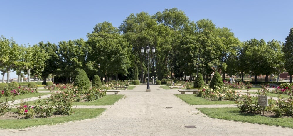 Jardines de la Mota (105)