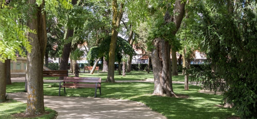 Jardines de la Mota (25)