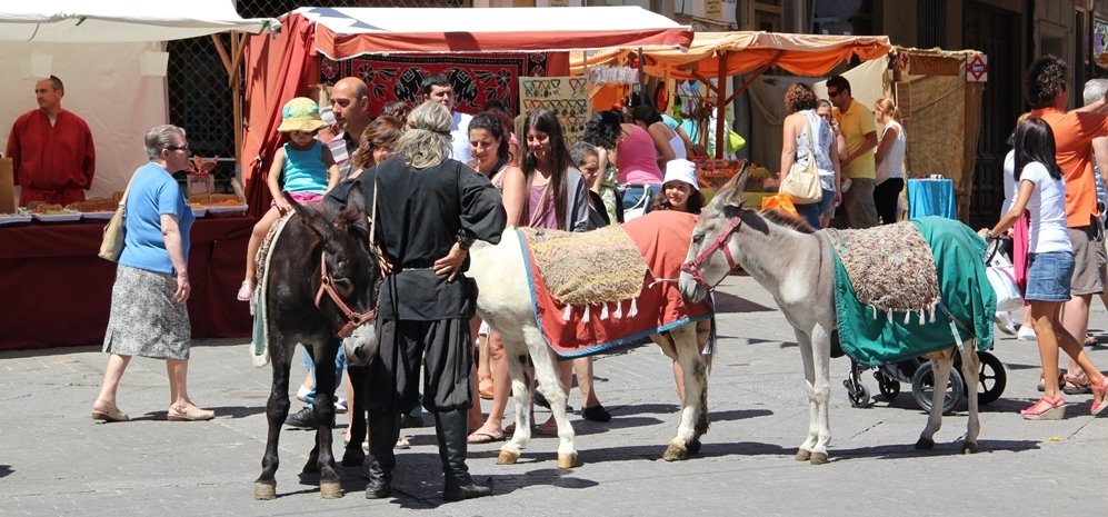 Mercado Medieval (107)