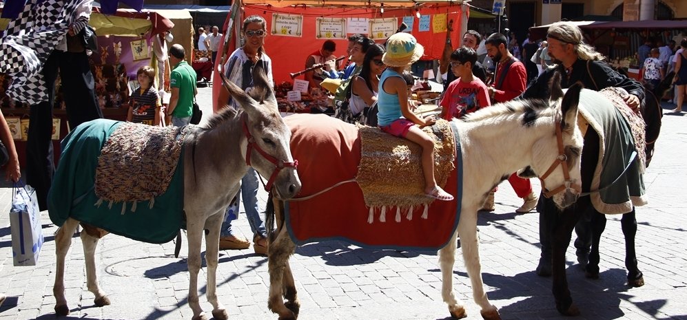 Mercado Medieval (15)