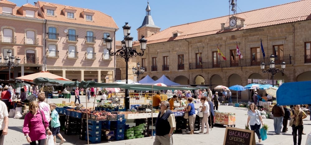 Mercado-de-los-jueves-benavente (2)