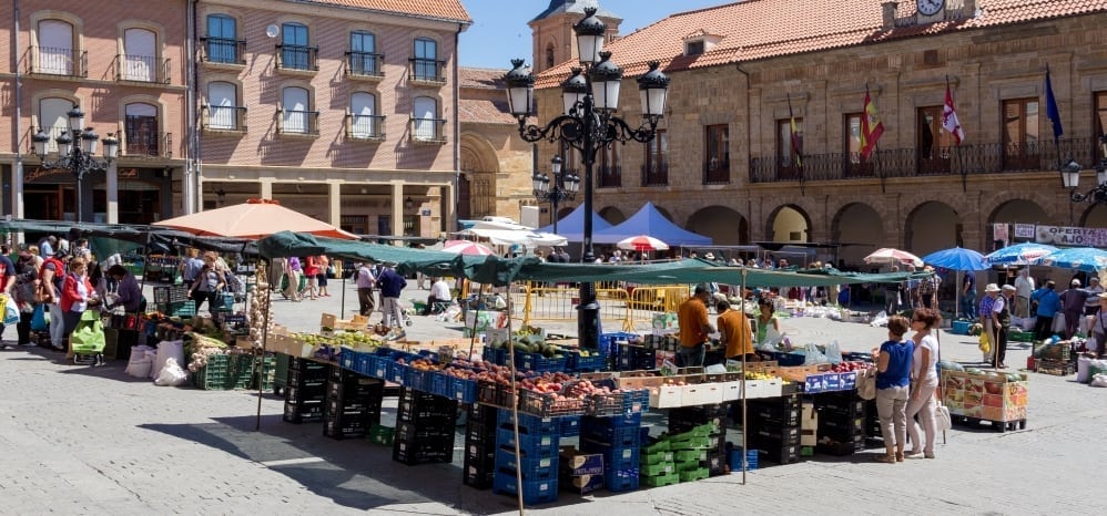 Mercado-de-los-jueves-benavente (3)