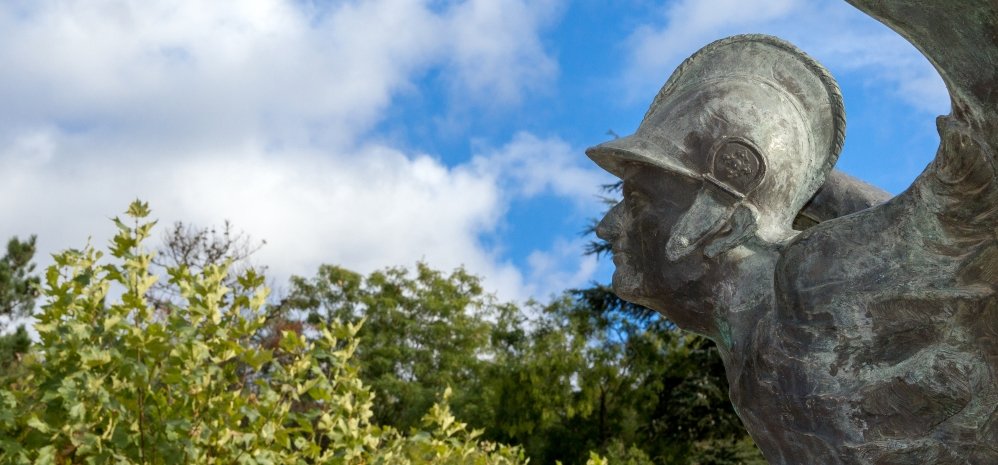 Monumento al Condado de Benavente (7)