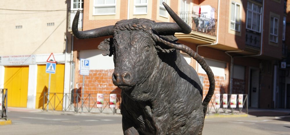 Monumento al toro Enmaromado (14)