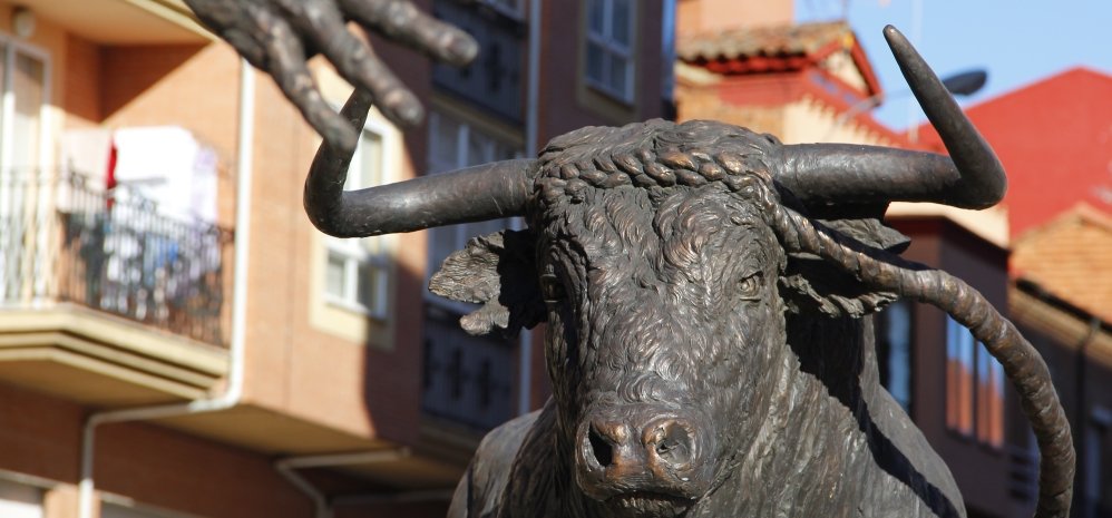 Monumento al toro Enmaromado (23)