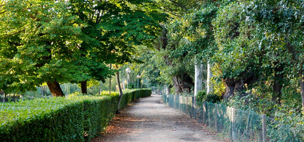 Parque de la Pradera (1)