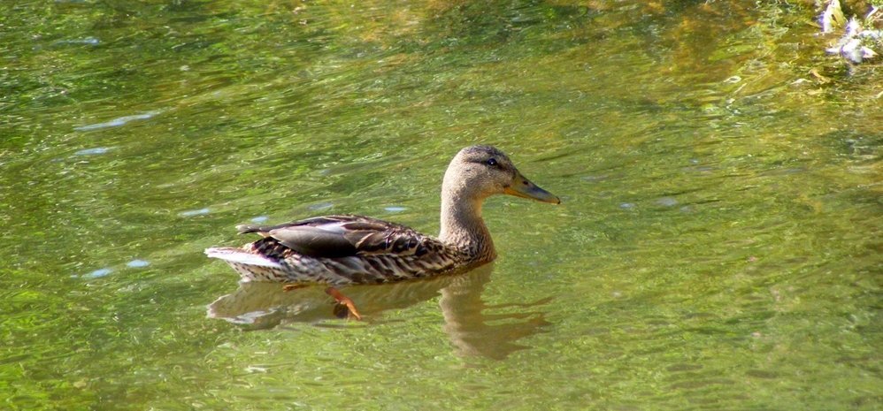 Parque de la Pradera (70)