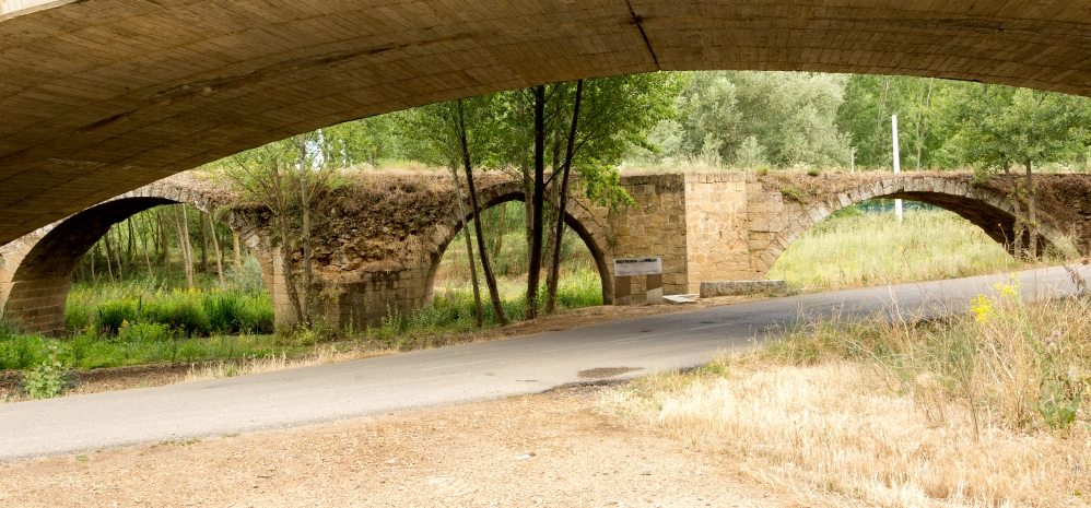 Puente Medieval sobre el Esla (1)