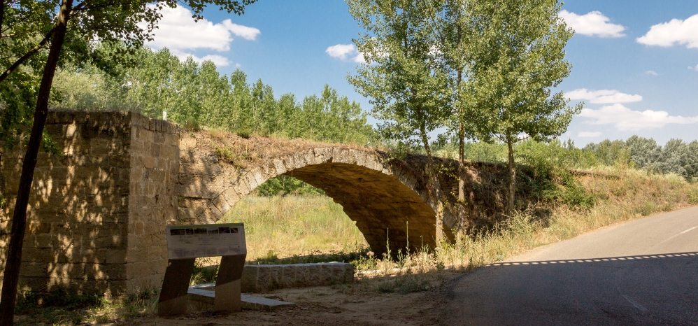 Puente Medieval sobre el Esla (12)