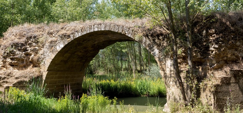 Puente Medieval sobre el Esla (3)