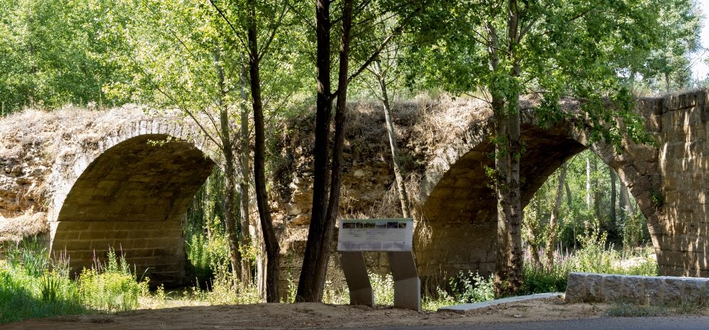 Puente Medieval sobre el Esla (4)