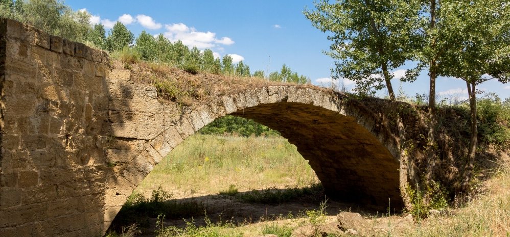 Puente Medieval sobre el Esla (5)