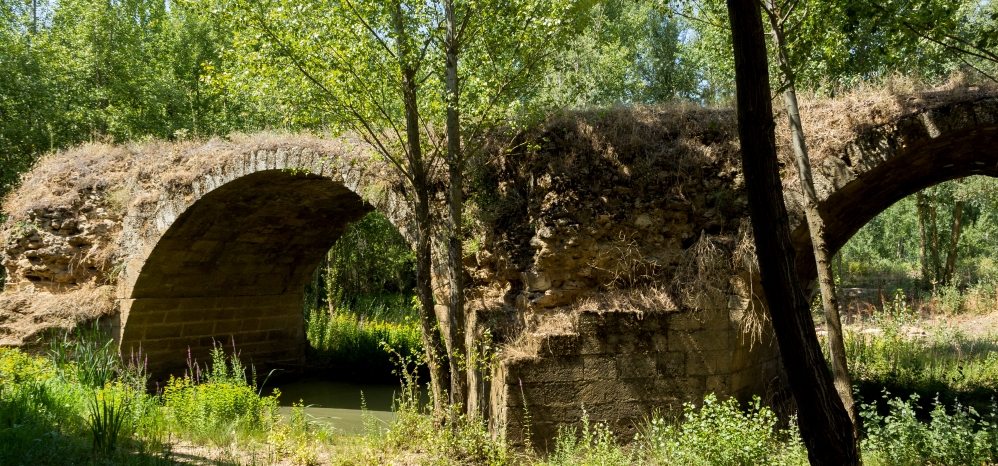 Puente Medieval sobre el Esla (6)