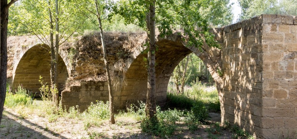 Puente Medieval sobre el Esla (8)