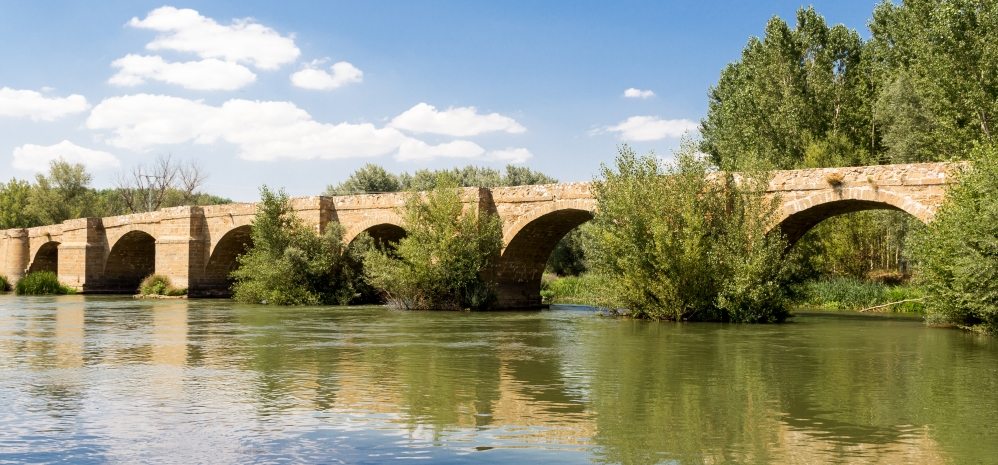 Puente Medieval sobre el Esla (9)